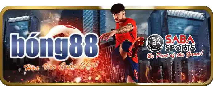 Hoàn Trả de88